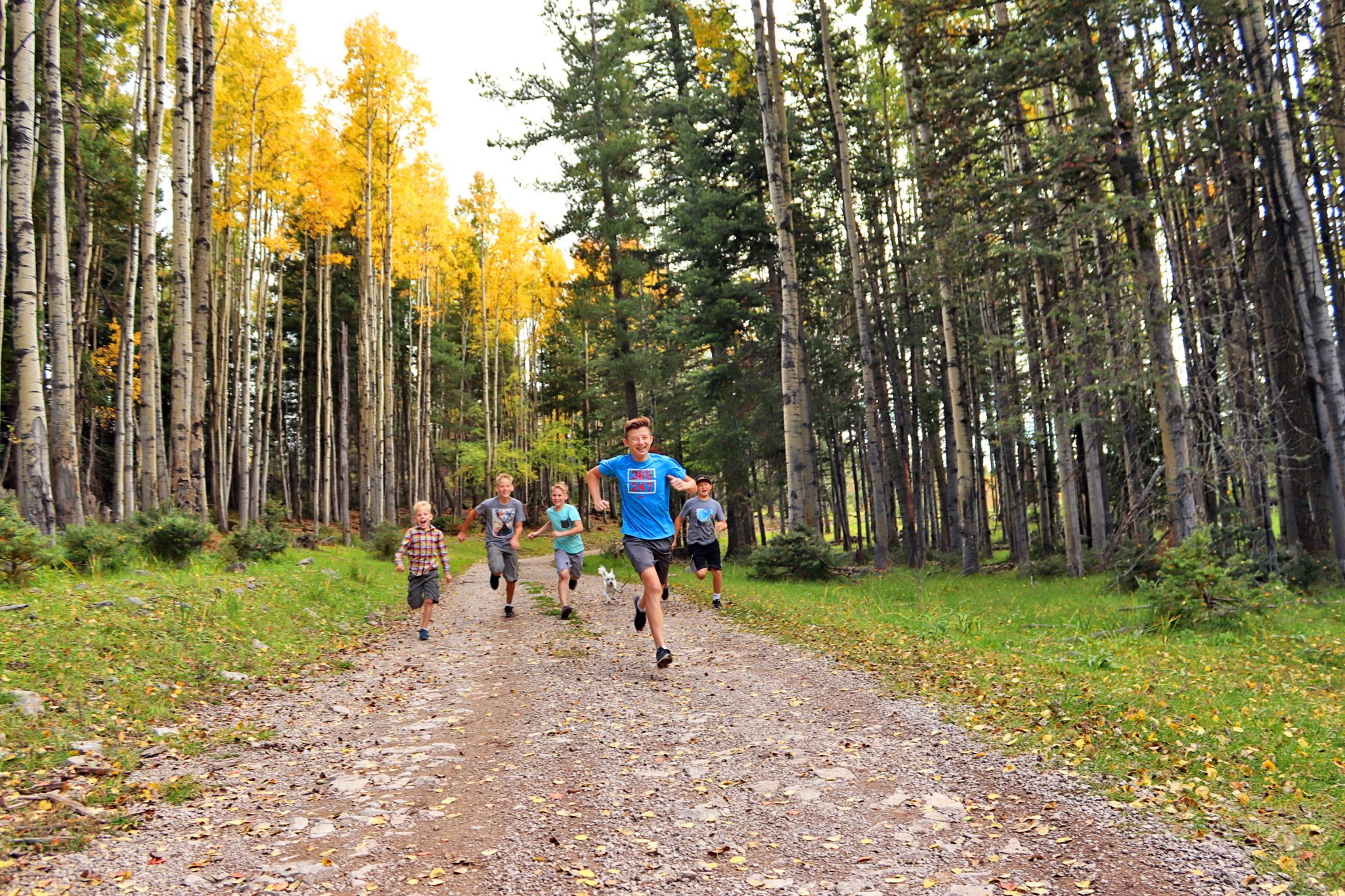 Why You Need To Visit Cloudcroft New Mexico This Fall Simply Wander