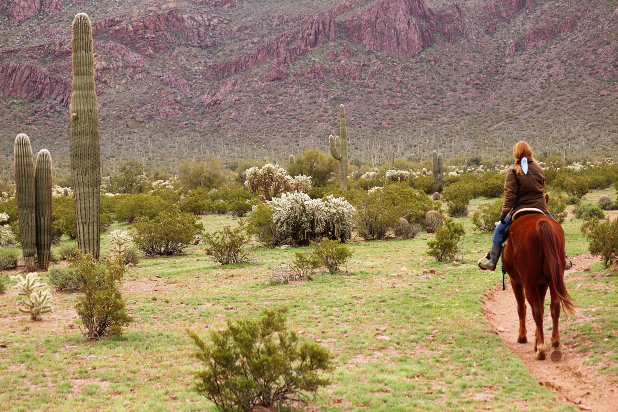 White Stallion Dude Ranch: Arizona's best family vacation - Simply Wander