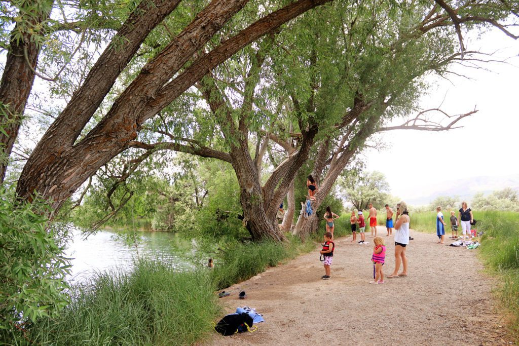 11 Fun Things to do in Utah County with Kids | Mona rope swings at Burriston Ponds #simplywander #burristonponds #monaropeswings #utahcounty