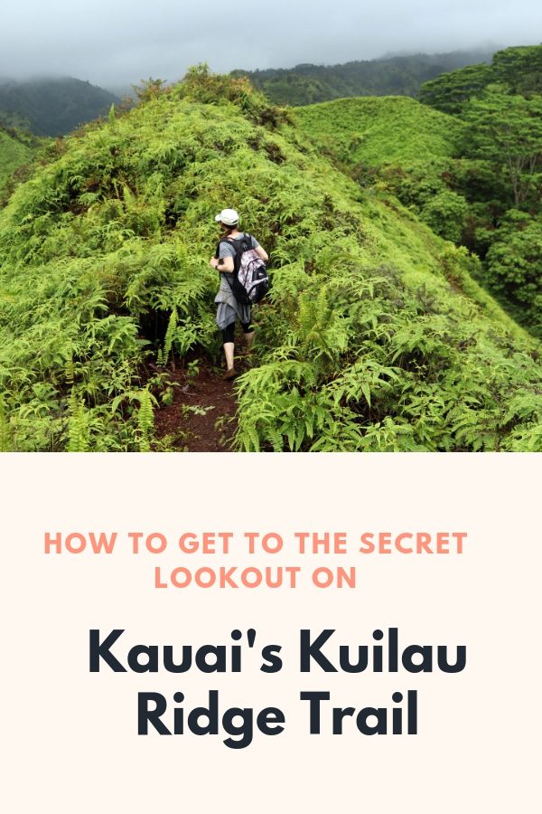 How to get to the Secret Lookout On Kauai's Kuilau Ridge Tips for hiking the Kuilau Ridge Trail in Kauai | Simply Wander #kauai #hawaii #kuilauridgetrail #simplywander