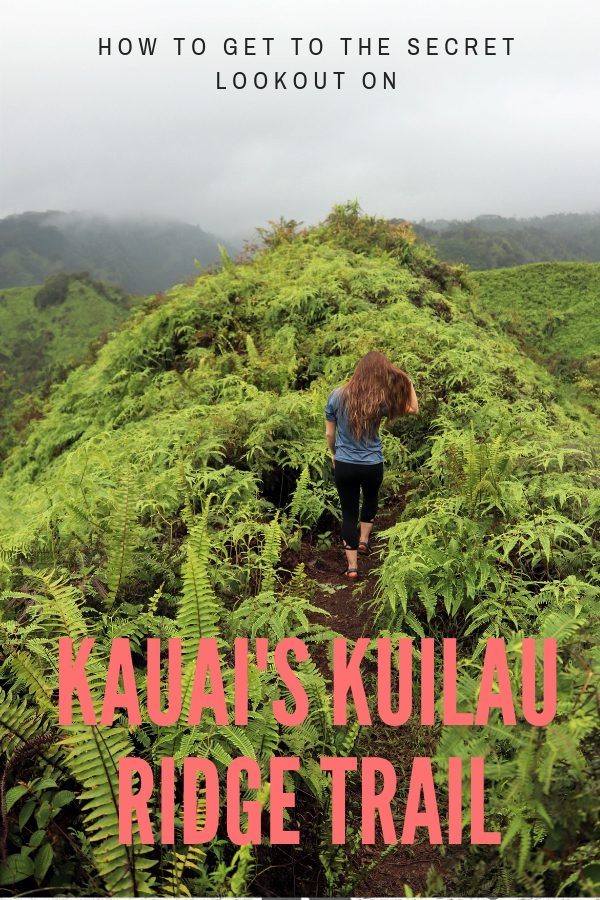 How to get to the Secret Lookout On Kauai's Kuilau Ridge Tips for hiking the Kuilau Ridge Trail in Kauai | Simply Wander #kauai #hawaii #kuilauridgetrail #simplywander