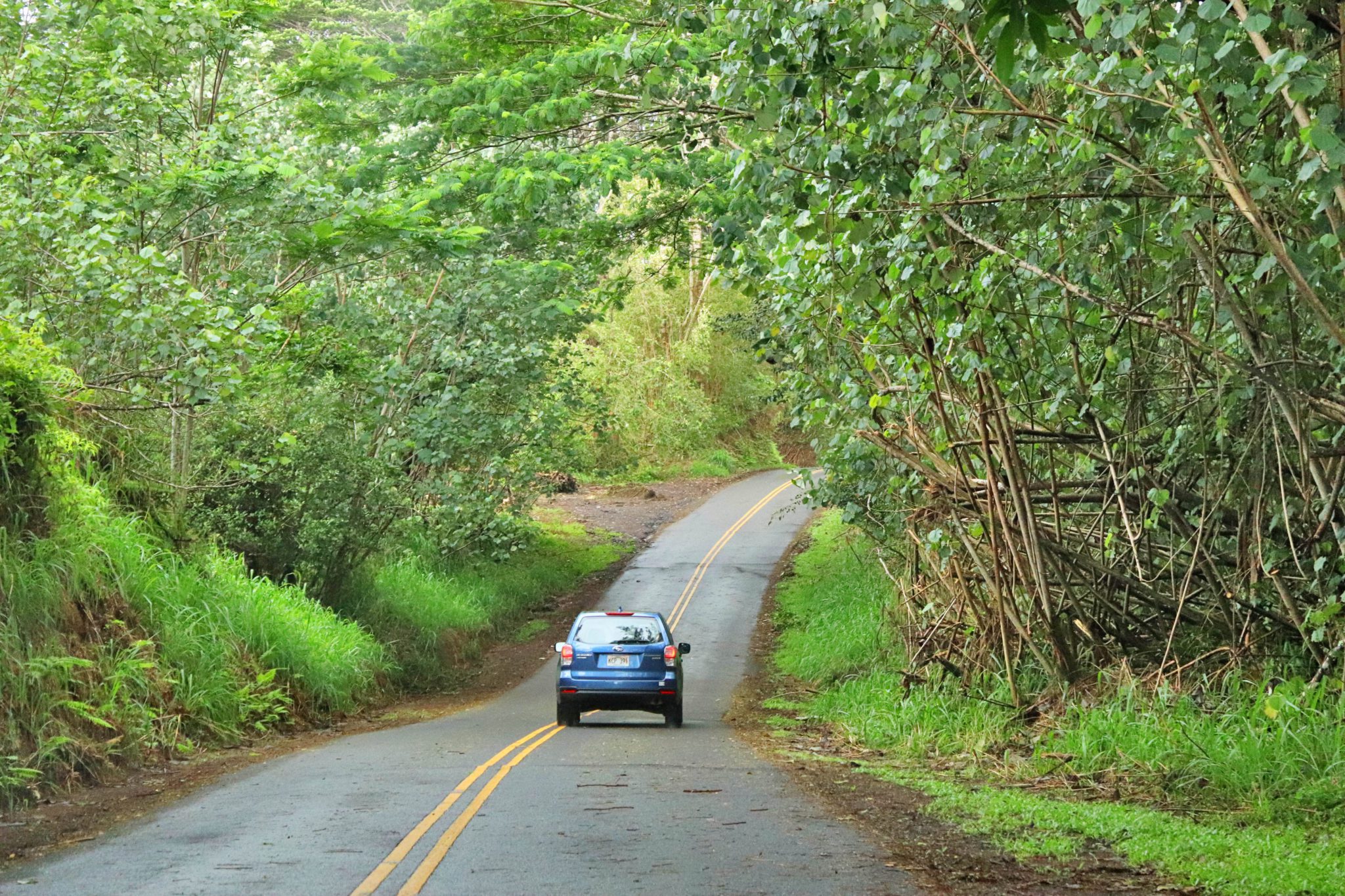 Kauai's Kuilau Ridge Trail Secret Lookout - Simply Wander 