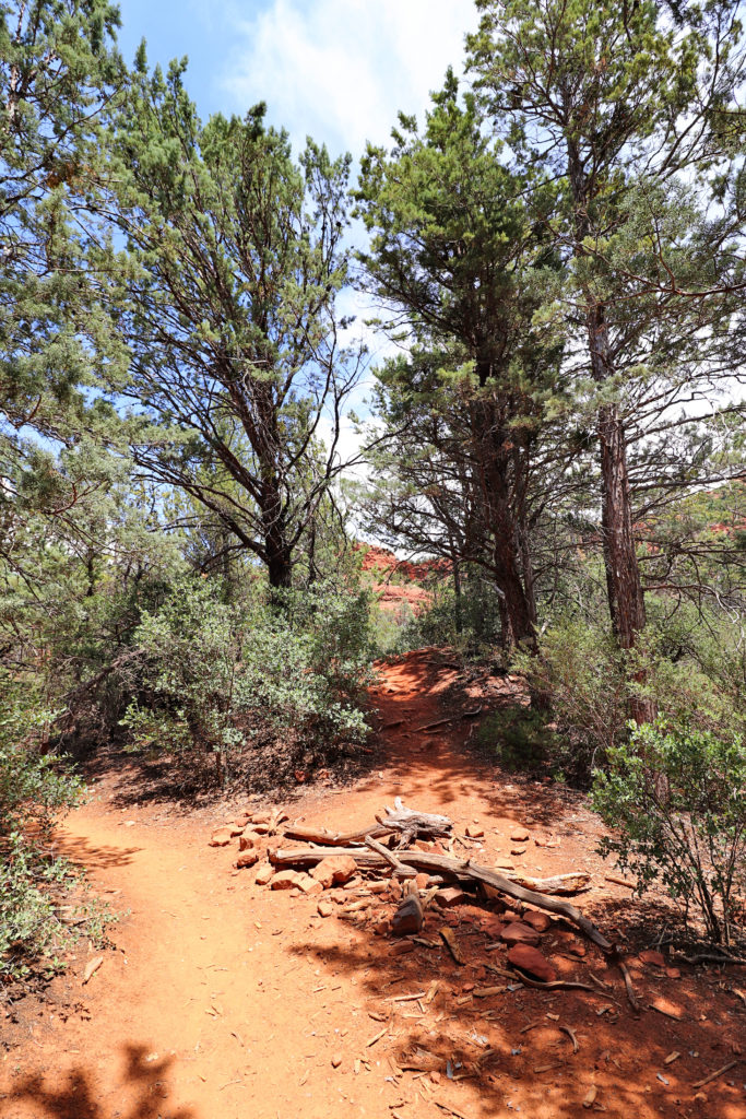15 Fun Things to do in Sedona Arizona with Kids | Soldier Pass Trail #sedona #arizona