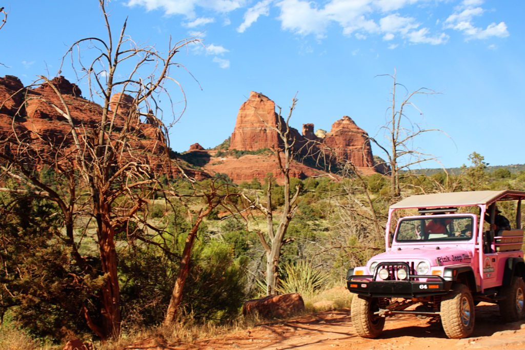 15 Fun Things to do in Sedona Arizona with Kids | Pink Jeep Tour #sedona #arizona 
