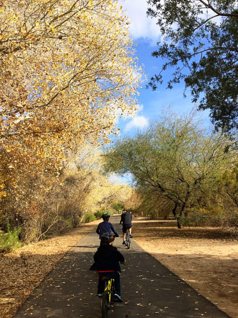 11 Things to do in Queen Creek Arizona with Kids | Queen Creek Wash #simplywander #queencreek #arizona #queencreekwash