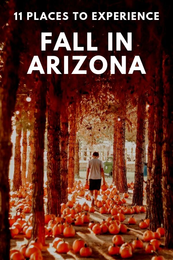 11 Places to go this Fall in Arizona #simplywander #arizona #fall