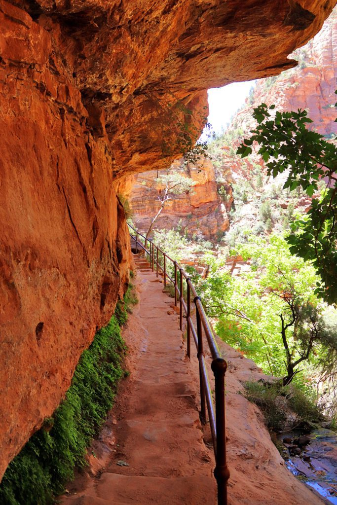 The Canyon Overlook Trail is the one hike you need to do in Zion National Park | Simply Wander #zionnationalpark #canyonoverlooktrail #simplywander