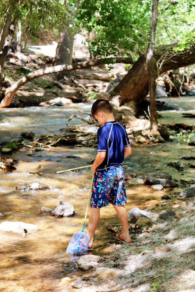 9 Awesome things to do in St George Utah with kids | Veyo Pool and Crawdad Canyon #simplywander #stgeorge #utah #veyopool #crawdadcanyon