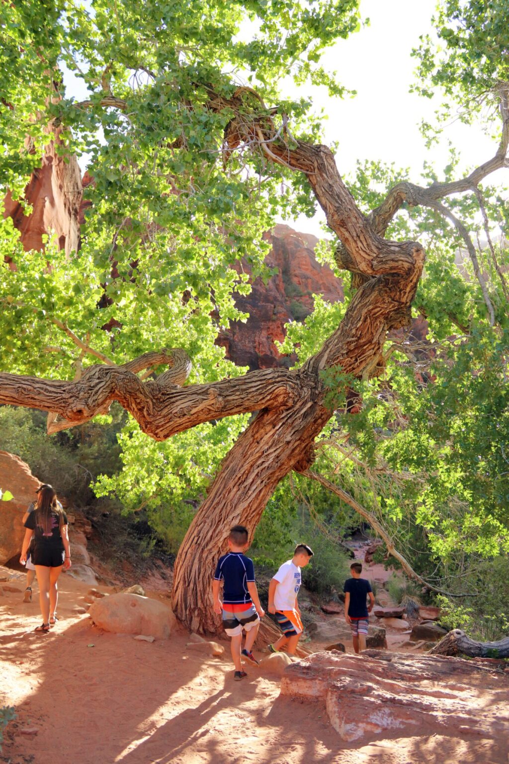 10 Awesome Things to Do in St George, Utah With Kids | Simply Wander