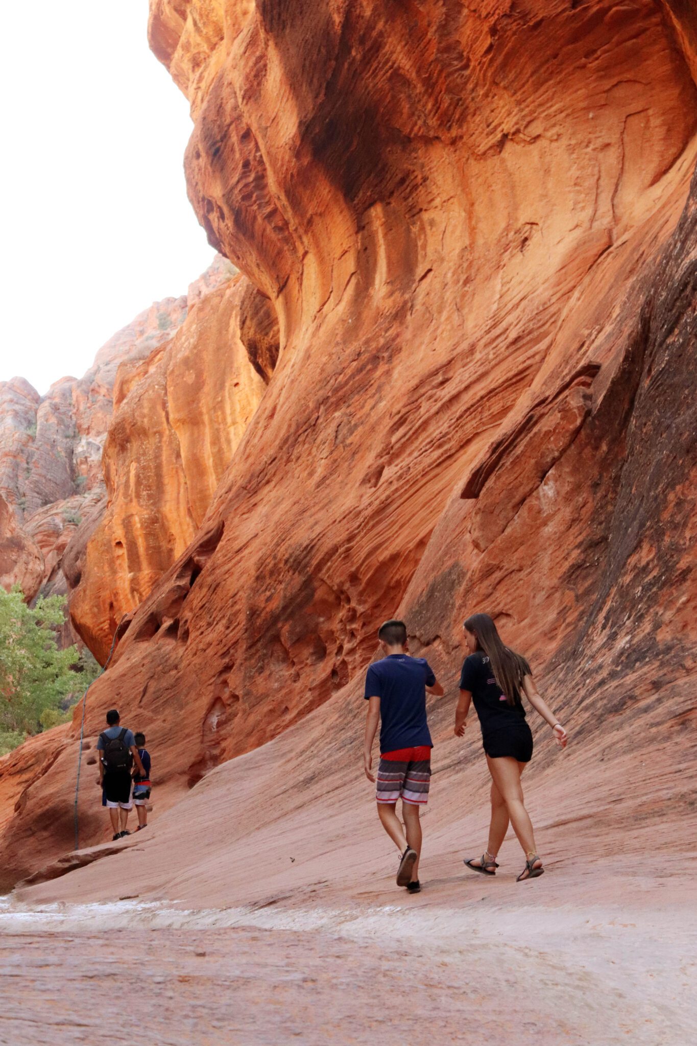 10 Awesome Things to Do in St George, Utah With Kids | Simply Wander