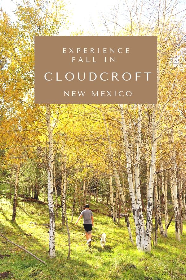 Things to do in Cloudcroft New Mexico this Fall | Simply Wander #simplywander #cloudcroft #newmexico #fall