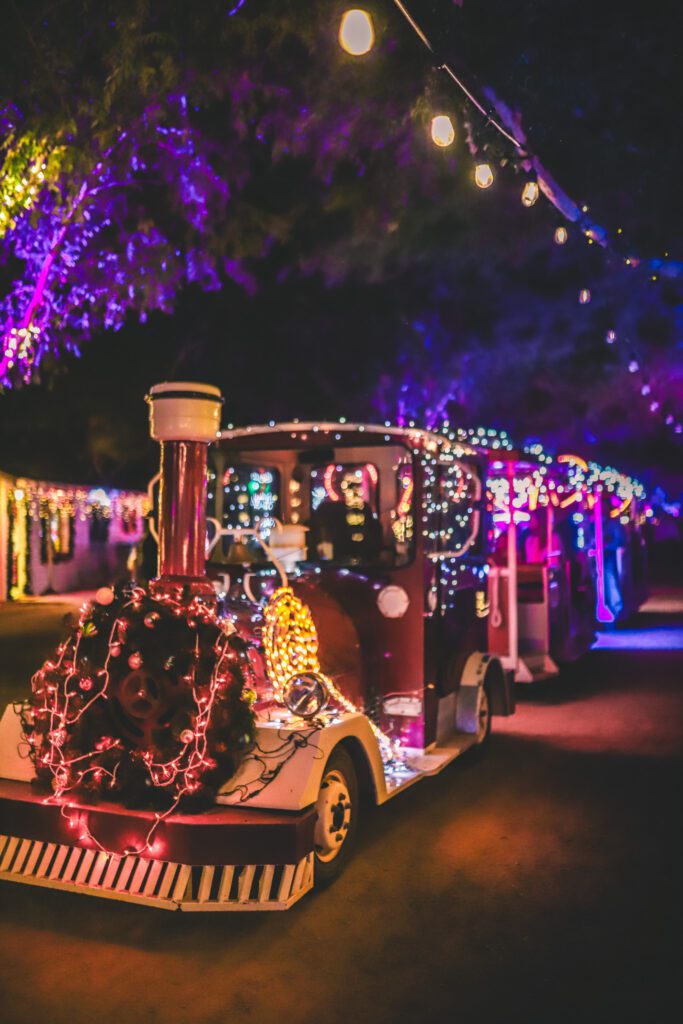 The Best Places to go During Christmas in Arizona | Schnepf Farms #simplywander