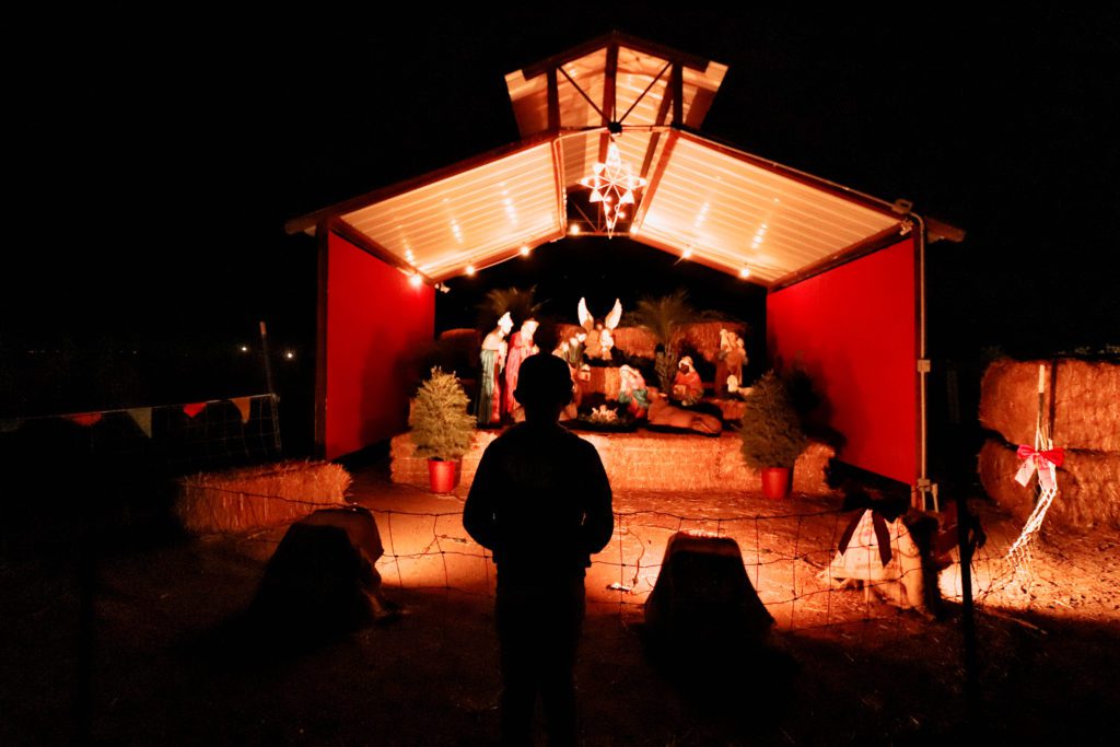 18 Places to experience the magic of Christmas in Arizona | Vertuccio Farms Lights at the Farm #simplywander #lightsatthefarm #vertucciofarms