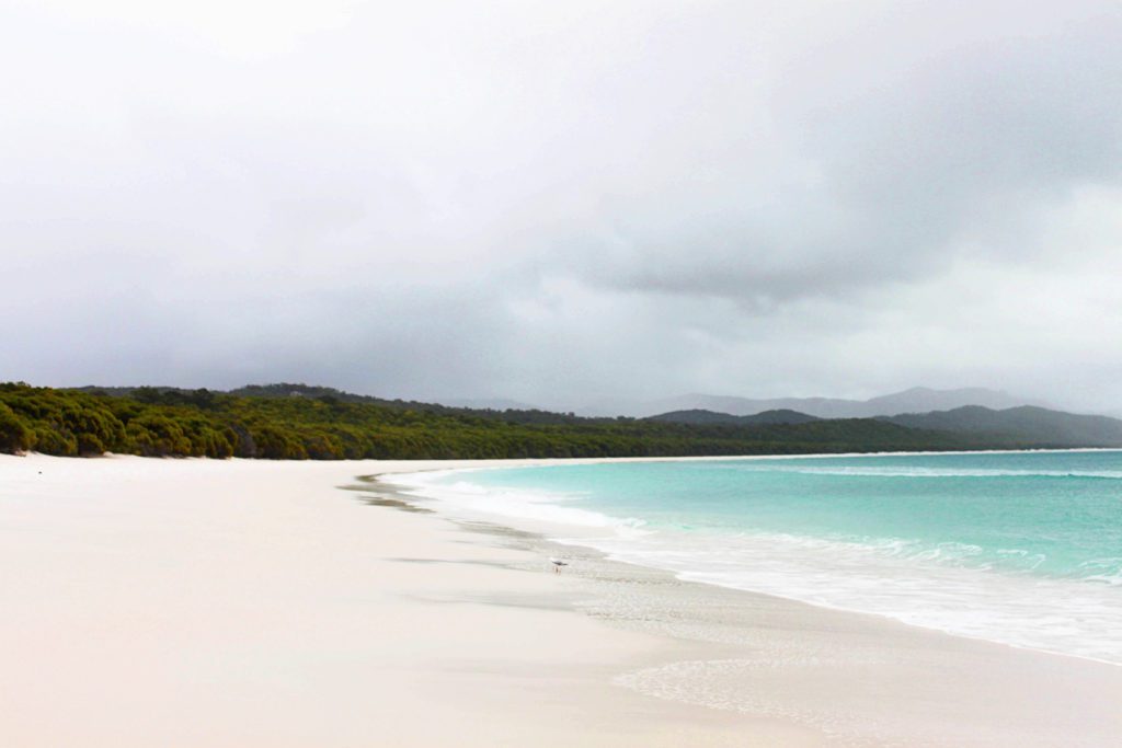 Tips for visiting Whitehaven Beach: The most beautiful beach in Australia | Simply Wander #whitsundayislands #australia #whitehavenbeach #simplywander