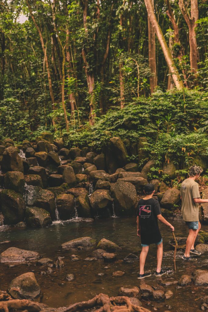 Best Hikes in Kauai with Kids | Secret Falls #simplywander