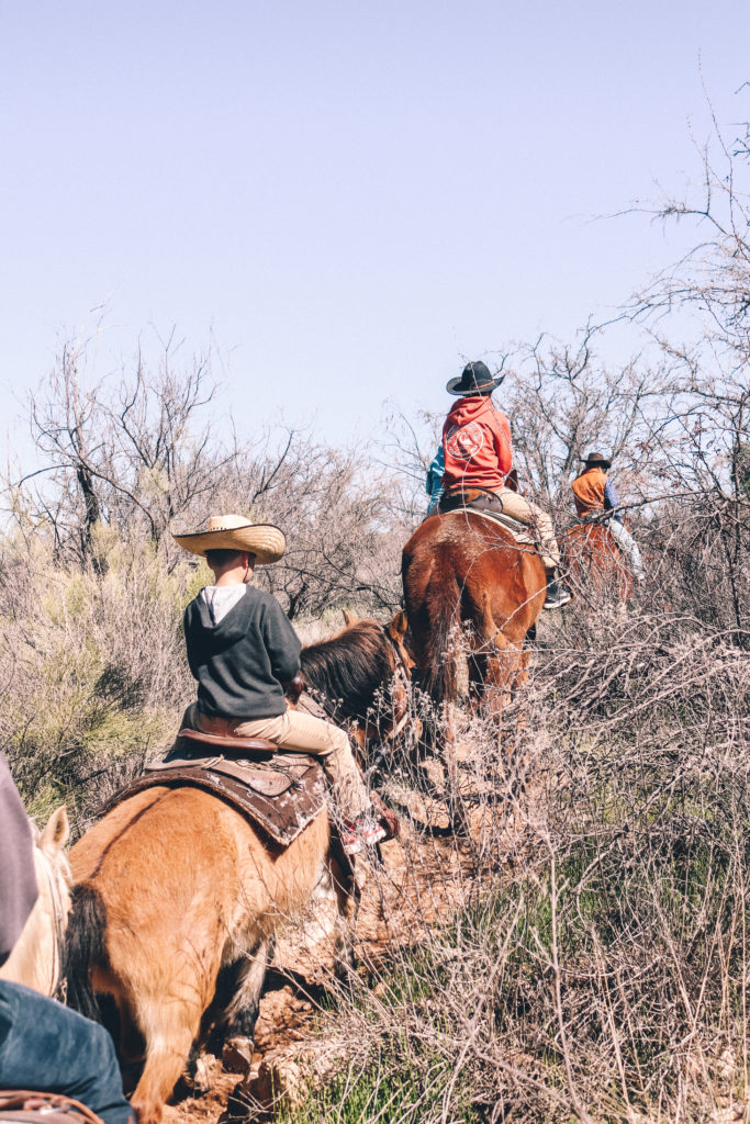 Experience Rancho de la Osa: Arizona's most historic dude ranch #simplywander #ranchodelaosa #duderanch #arizona