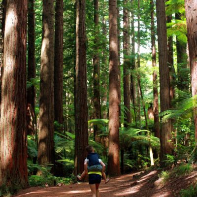 8 Things to do in Rotorua New Zealand with kids | Whakarewarewa Forest #simplywander #newzealand #rotorua #WhakarewarewaForest