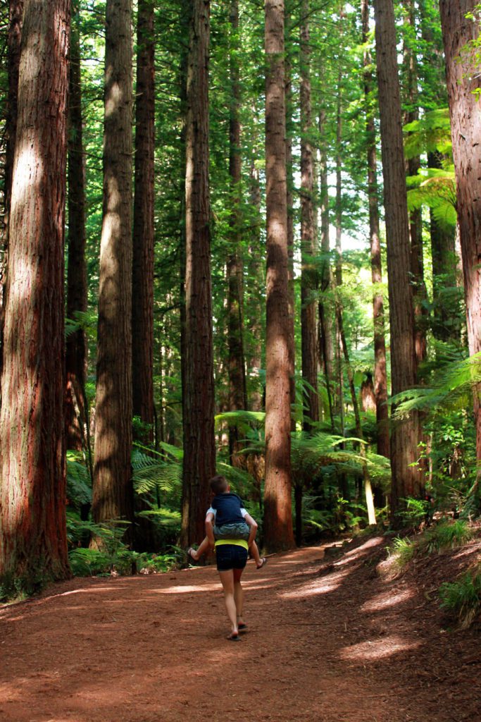 8 Things to do in Rotorua New Zealand with kids | Whakarewarewa Forest #simplywander #newzealand #rotorua #WhakarewarewaForest