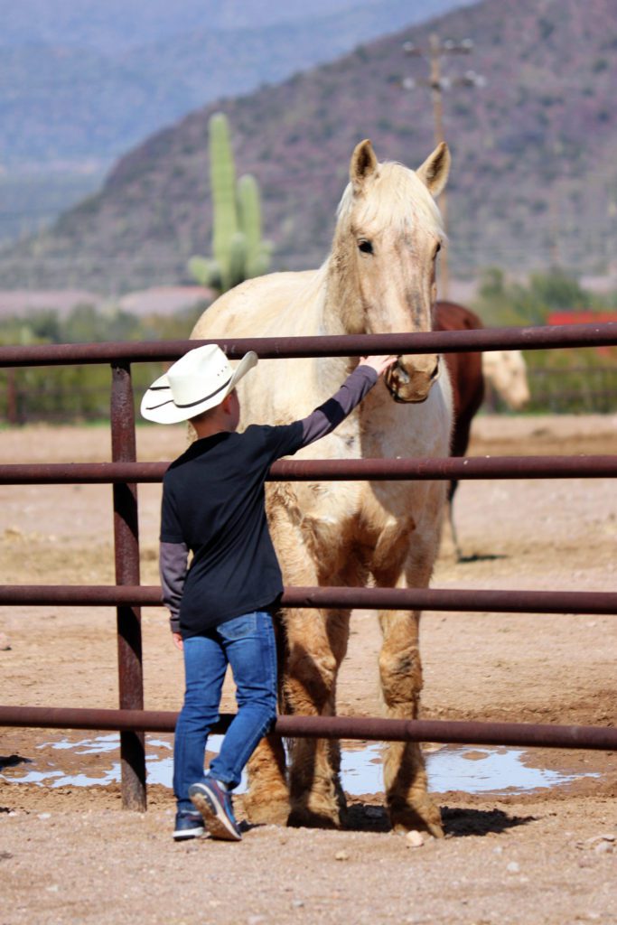 Best places to stay in Tucson | White Stallion Dude Ranch #tucson #arizona #whitestallionranch #simplywander