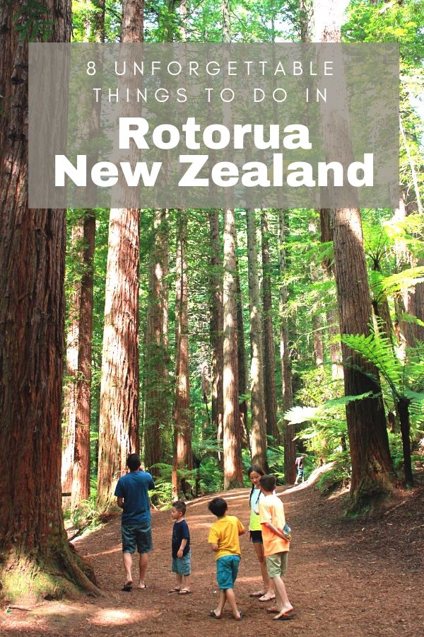 8 Things to do in Rotorua New Zealand with kids #simplywander #newzealand #rotorua