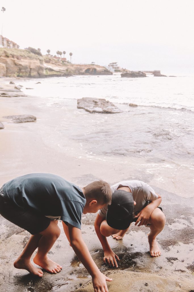 6 Stops on a Pacific Coast Highway Road Trip from Oceanside to San Diego | La Jolla Tide Pools #simplywander #california #pacificcoasthighway #lajolla