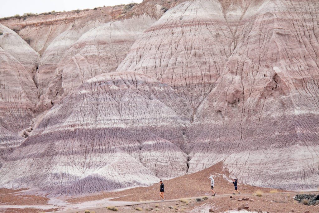 7 Places to escape the crowds in Arizona | Petrified Forest National Park #simplywander #arizona #petrifiedforest