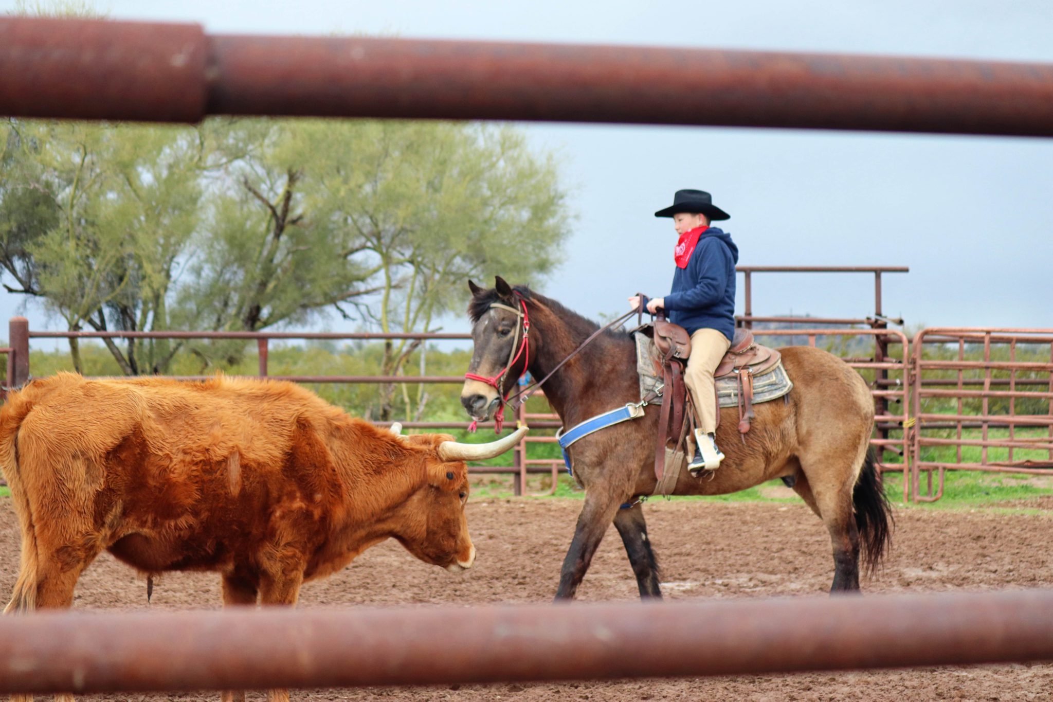 7 Places to Escape the Crowds in Arizona | Simply Wander