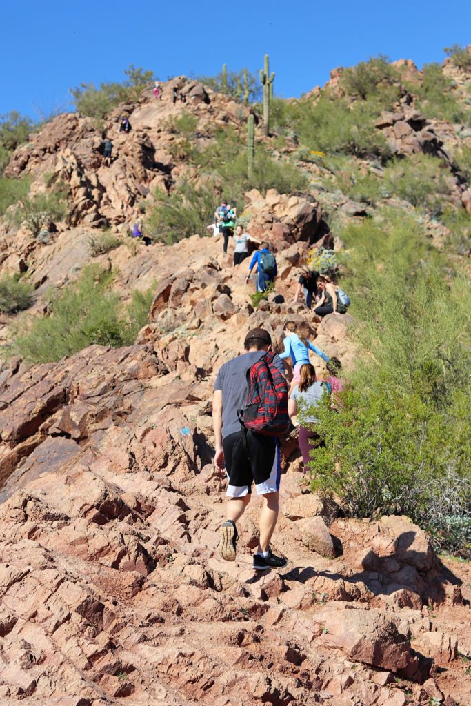 7 Awesome Hikes in Phoenix Arizona | Camelback Mountain Cholla Trail #simplywander #phoenixhikes #camelbackmountain #chollatrail
