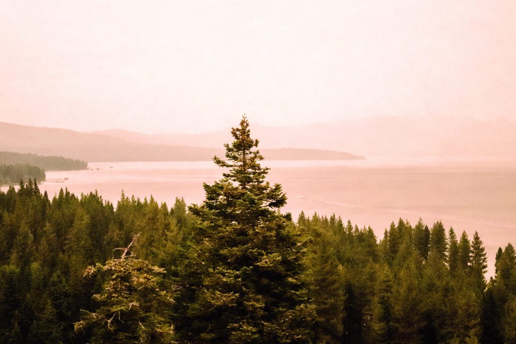 5 Things Not to Miss on Your First Trip to Lake Tahoe | Eagle Rock Trail #simplywander #laketahoe #california #nevada #eaglerocktrail