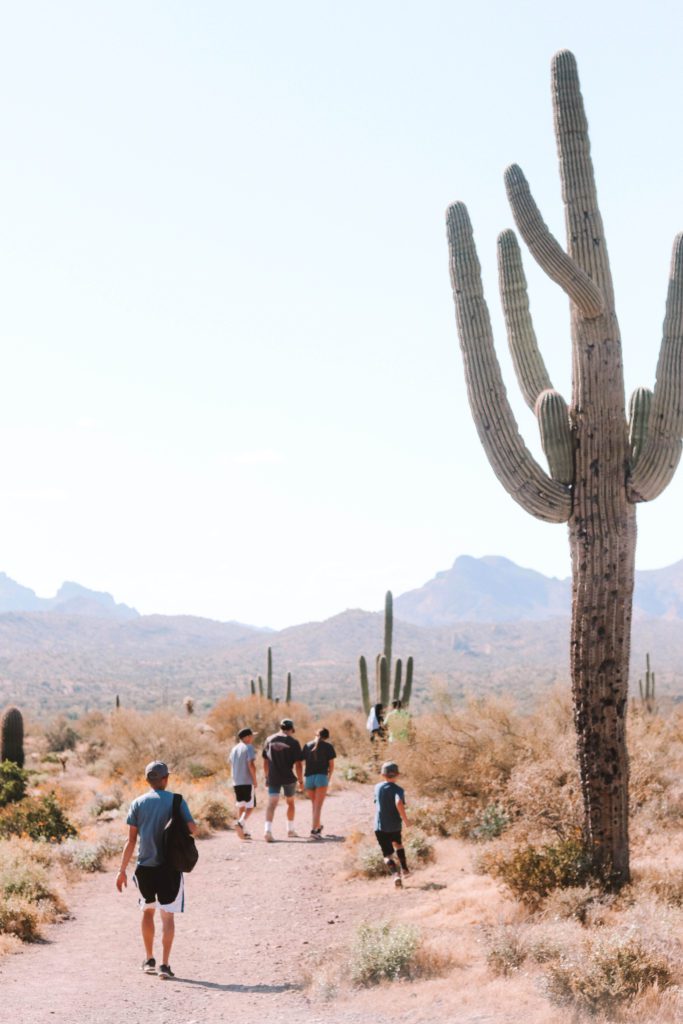 7 Awesome Hikes in Phoenix Arizona | Lost Dutchman State Park Treasure Loop Trail #simplywander #phoenixhikes #treasuerlooptrail #lostdutchmanstatepark