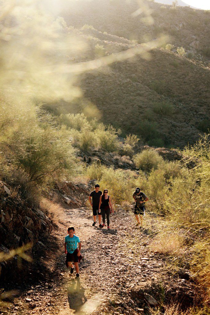 7 Awesome Hikes in Phoenix Arizona | San Tan Mountain Regional Park Goldmine Trail #simplywander #phoenixhikes #goldminetrail #santanmountainregionalpark