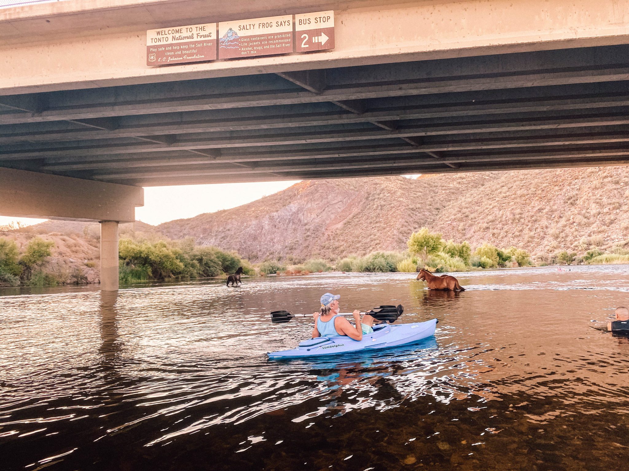 First Time Guide to Arizona's Salt River Tubing Simply Wander