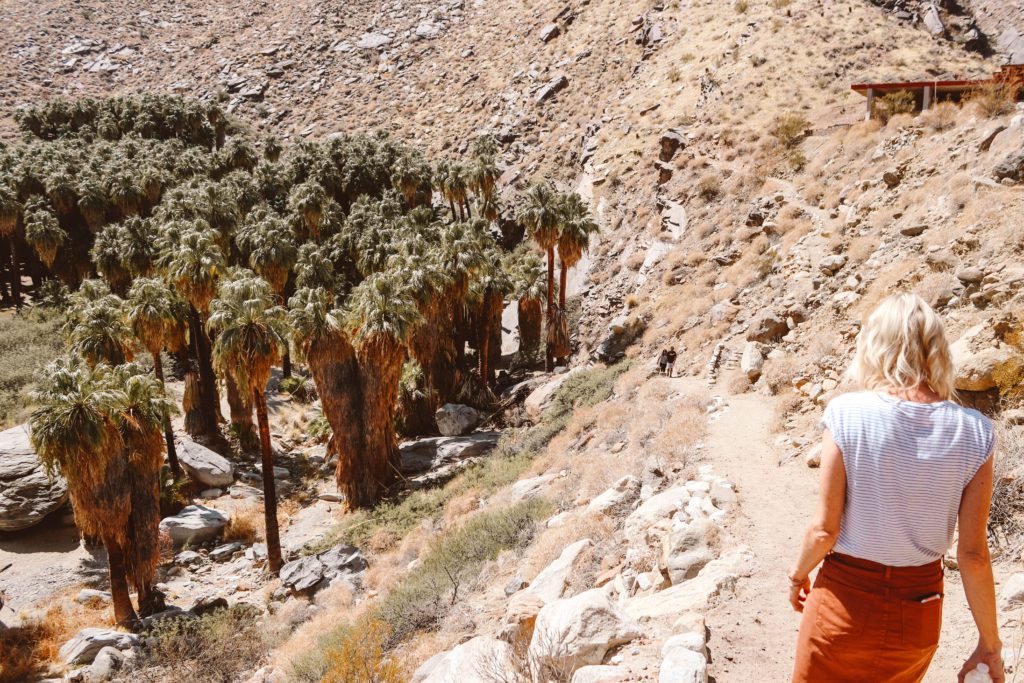 How to Spend a Girls Weekend in Palm Springs | Indian Canyons Palm Canyon #simplywander #palmsprings #california #girlsweekend #indiancanyons