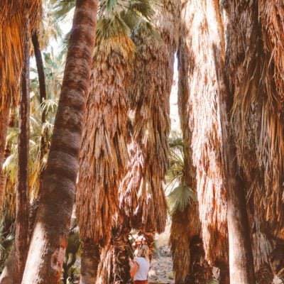 How to Spend a Girls Weekend in Palm Springs | Indian Canyons Palm Canyon #simplywander #palmsprings #california #girlsweekend #indiancanyons