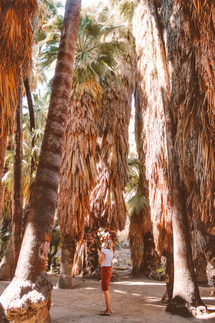 How to Spend a Girl’s Weekend in Palm Springs California