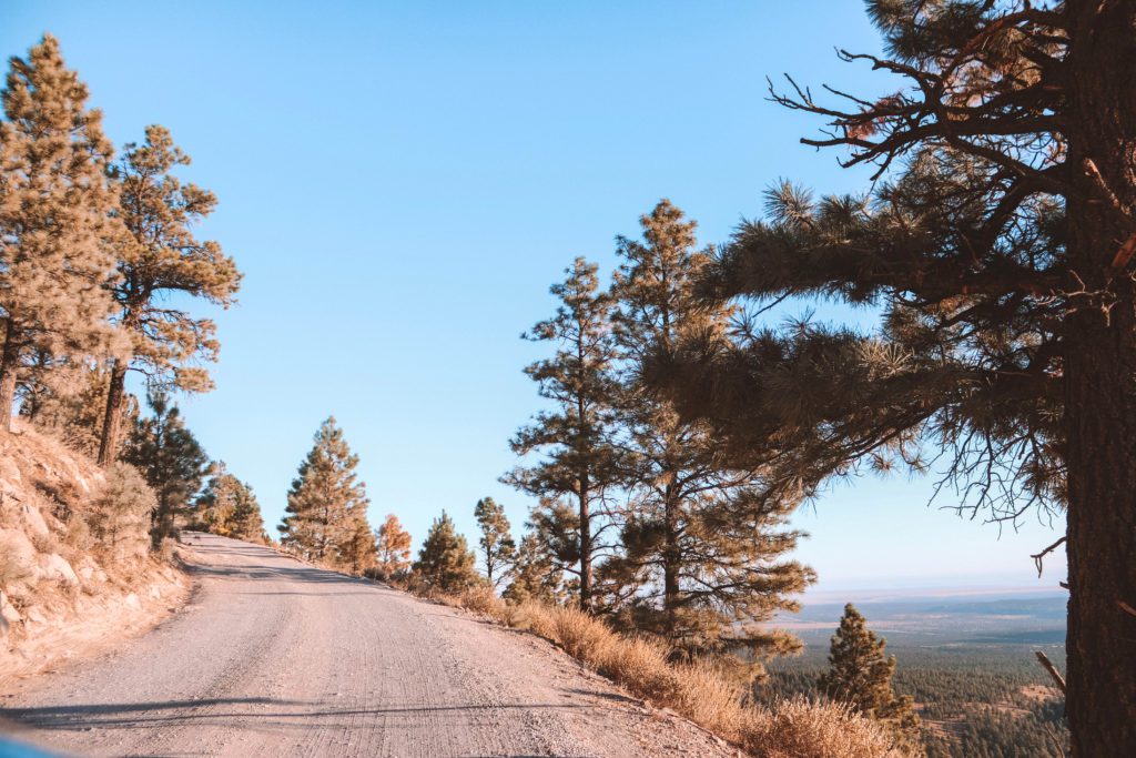 Lockett Meadow: Arizona's Best Fall Hike | everything you need to know before hiking the Lockett Meadow Trail #simplywander #lockettmeadow #flagstaff #arizona