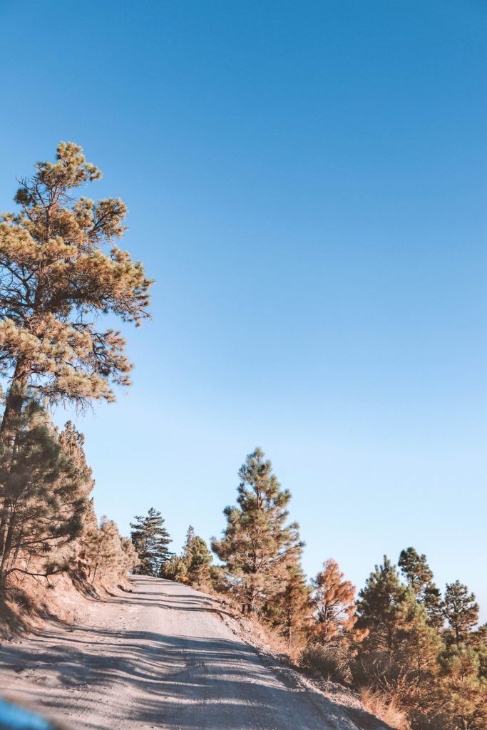 Lockett Meadow: Arizona's Best Fall Hike | everything you need to know before hiking the Lockett Meadow Trail #simplywander #lockettmeadow #flagstaff #arizona