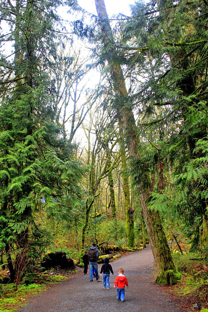 Best things to do in Victoria BC with kids | Goldstream Provincial Park #victoria #britishcolumbia #simplywander #goldstreamprovincialpark