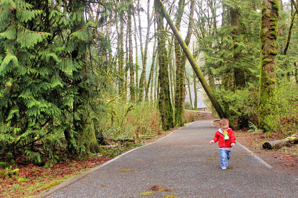 Best things to do in Victoria BC with kids | Goldstream Provincial Park #victoria #britishcolumbia #simplywander #goldstreamprovincialpark