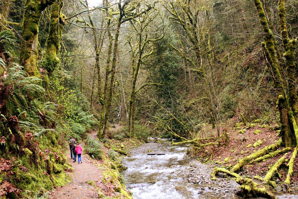 Best things to do in Victoria BC with kids | Goldstream Niagra Falls #victoria #britishcolumbia #simplywander #goldstreamniagrafalls