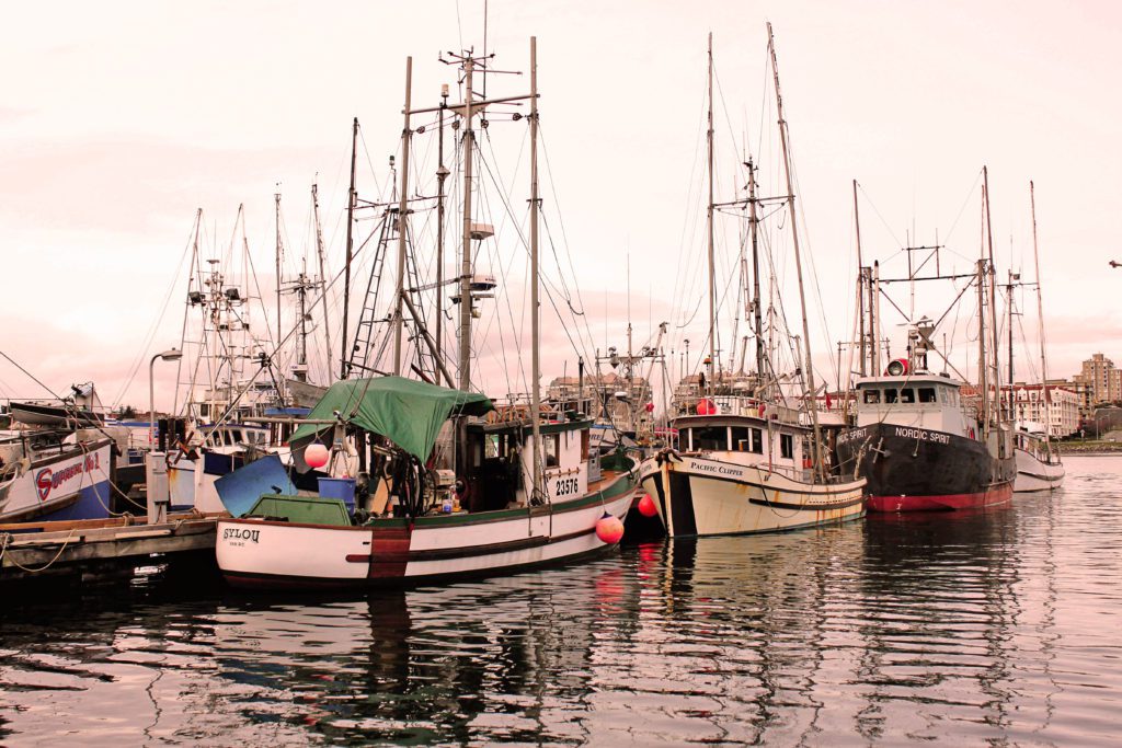 Best things to do in Victoria BC with kids | Fisherman's Wharf #victoria #britishcolumbia #simplywander #fishermanswharf