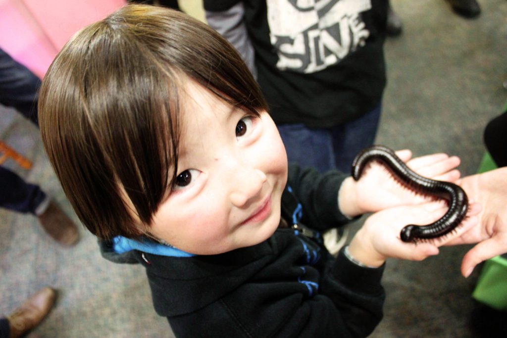 Best things to do in Victoria BC with kids | Victoria Bug Zoo #victoria #britishcolumbia #simplywander #victoriabugzoo