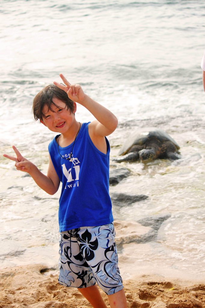10 Unforgettable Things to do in Oahu with Kids | Laniakea Beach #simplywander #oahu #hawaii #LaniakeaBeach