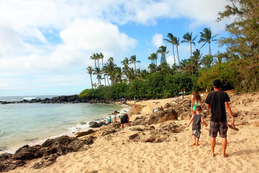 10 of the Best Beaches on Oahu's North Shore | Laniakea Beach #simplywander #laniakeaibeach #northshore #oahu #hawaii