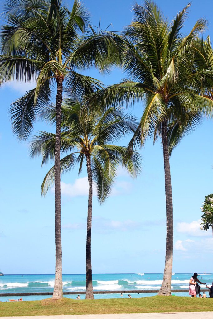 10 Unforgettable Things to do in Oahu with Kids | Waikiki Beach #simplywander #oahu #hawaii #waikikibeach