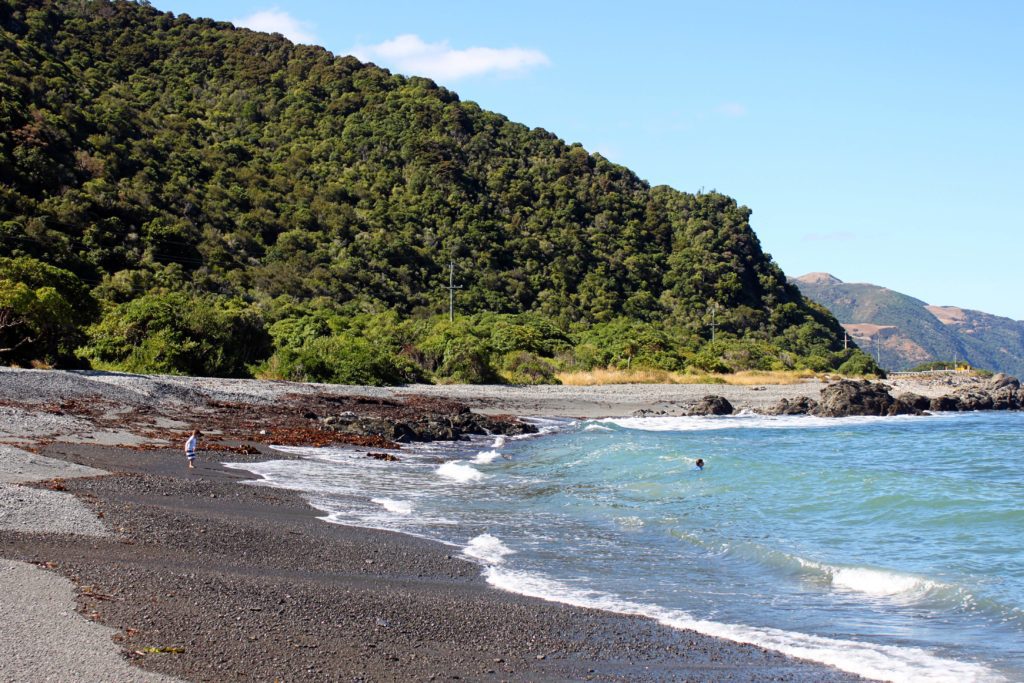 8 Things You Can't Miss in Kaikoura New Zealand | Goose Bay Campground #kaikoura #newzealand #simplywander #goosebaycampground