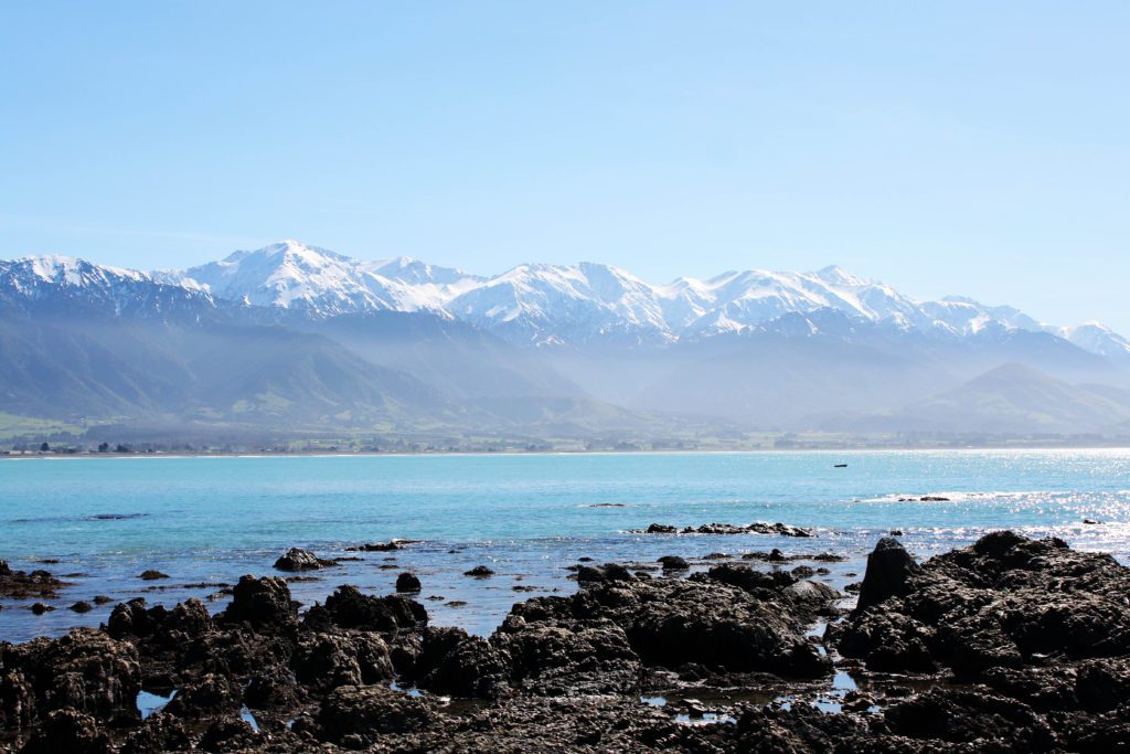 South Island Itinerary (by a local) | Kaikoura #simplywander
