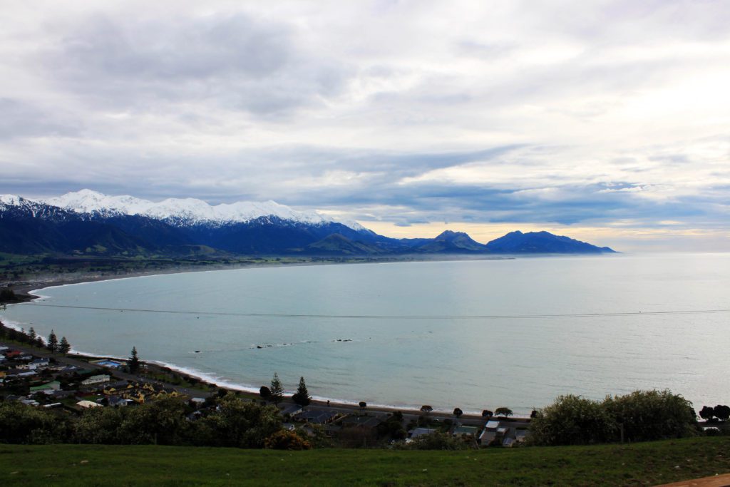 8 Things You Can't Miss in Kaikoura New Zealand | Kaikoura Lookout #kaikoura #newzealand #simplywander #kaikouralookout