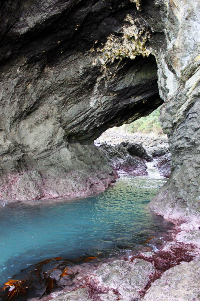 8 Unforgettable Things to Do in Kaikoura, New Zealand