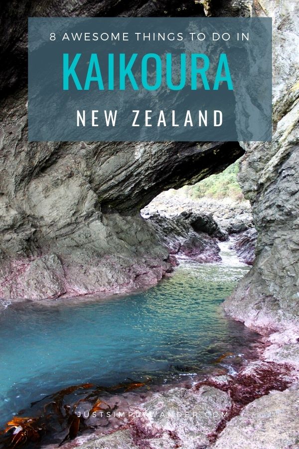 8 Things You Can't Miss in Kaikoura New Zealand | Simply Wander #kaikoura #newzealand #simplywander